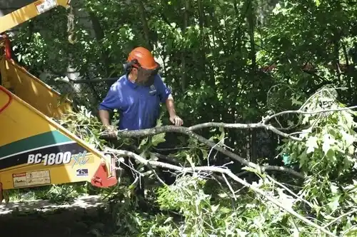 tree services Grant City